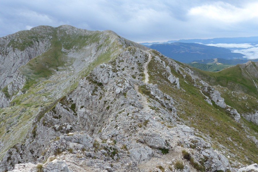 er Terminillo: la Nigritella widderi e altre orchidee sulla montagna di Roma.